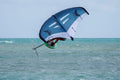 Winghier V4