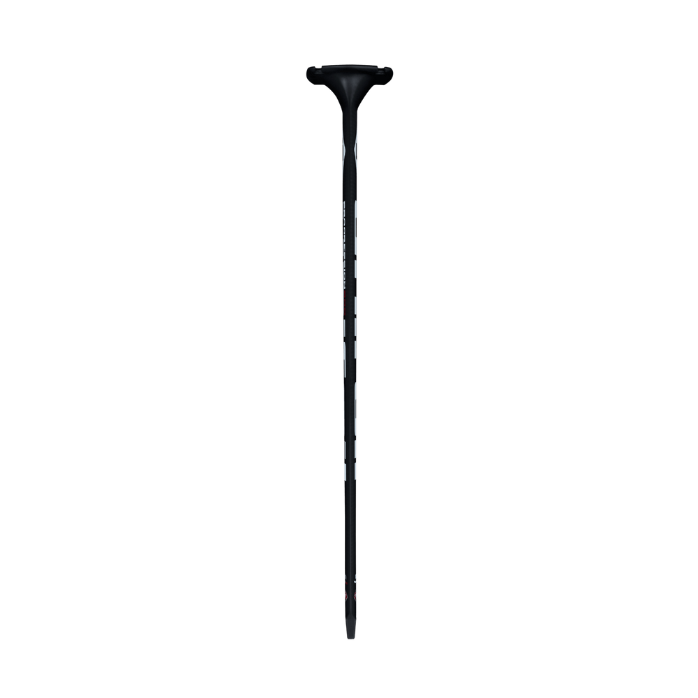 800 Progression Mast with cover