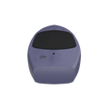 F-One Free Downwind Carbon
